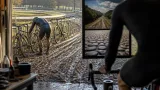 Wout van Aert annonce un retour en cyclo‑cross et vise le Tour des Flandres pour 2027