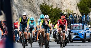 Un chien renversé lors de Milan-San Remo, les autorités recherchent maintenant son propriétaire.